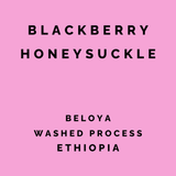 Ethiopia Beloya Washed