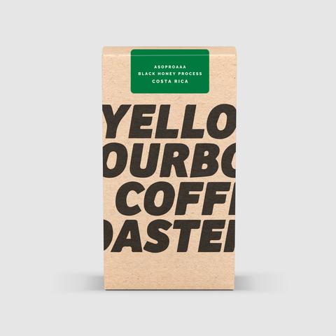 Costa Rica ASOPROAAA Black Honey Process